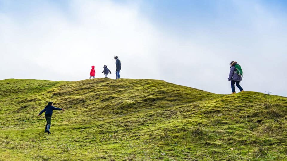 Family walking together across a grassy hill under a bright sky