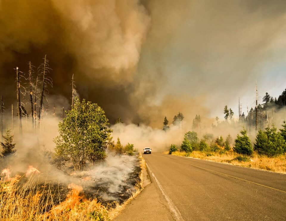 Dense wildfire smoke rising above a rural landscape