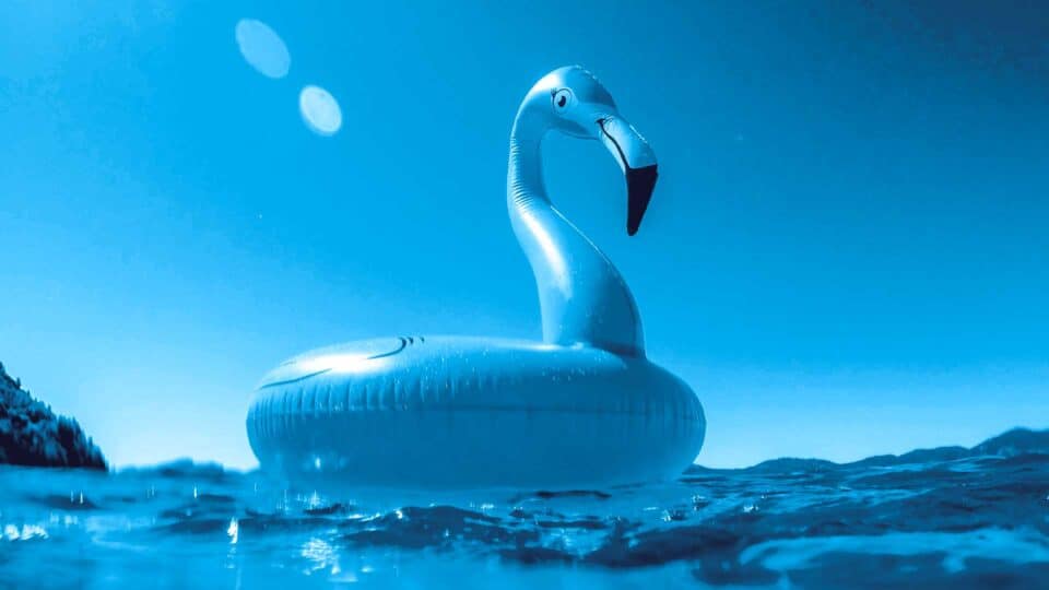Decorative blue swan graphic for a holiday recruitment campaign