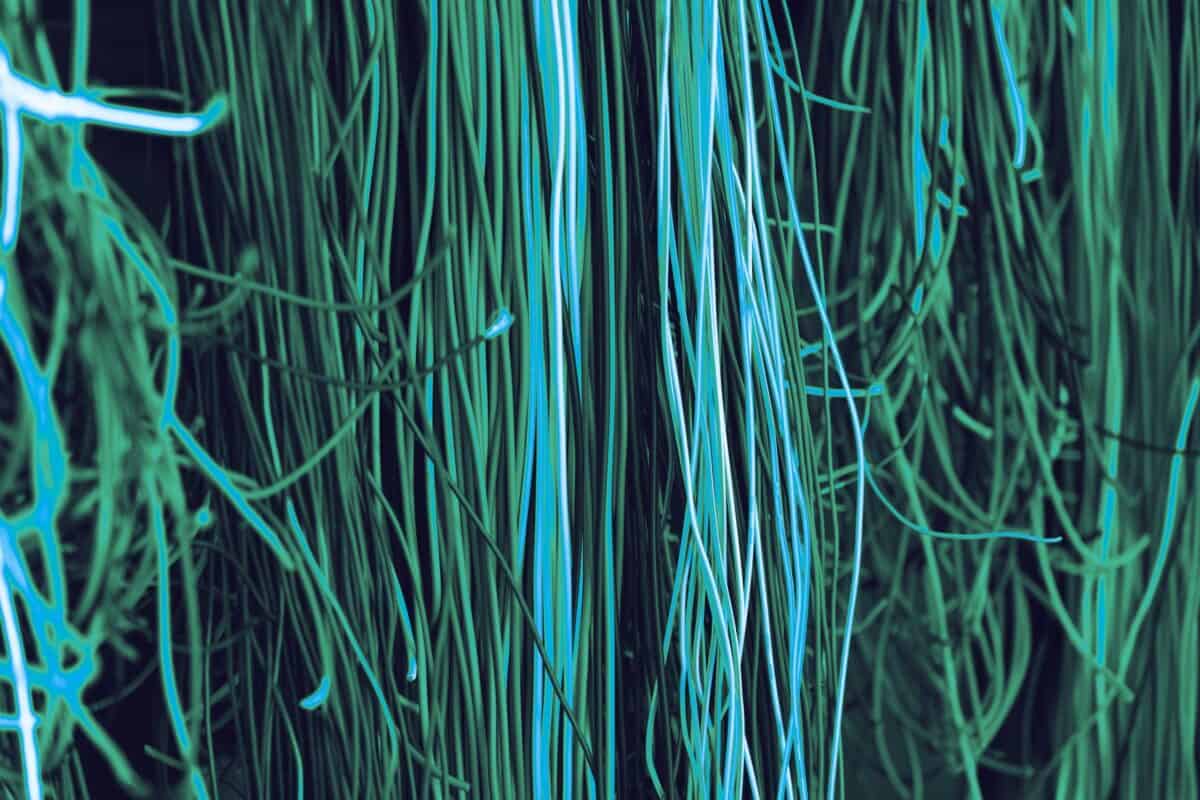 Rows of network cables connected inside a data centre