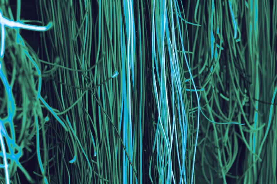 Rows of network cables connected inside a data centre