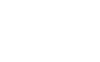 White Gogo company wordmark on a transparent background
